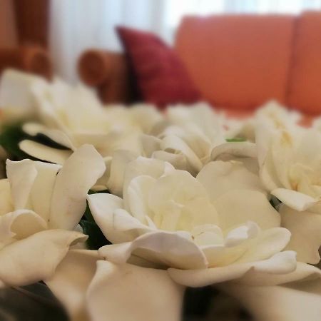 Hotel Belvedere Verbania Luaran gambar